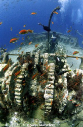 Wreck Thistlegorm by Sergiy Glushchenko 